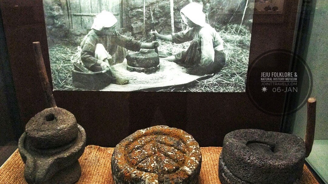 พิพิธภัณฑ์พื้นบ้านและประวัติศาสตร์ธรรมชาติเชจู (Jeju Folklore and Natural History Museum)