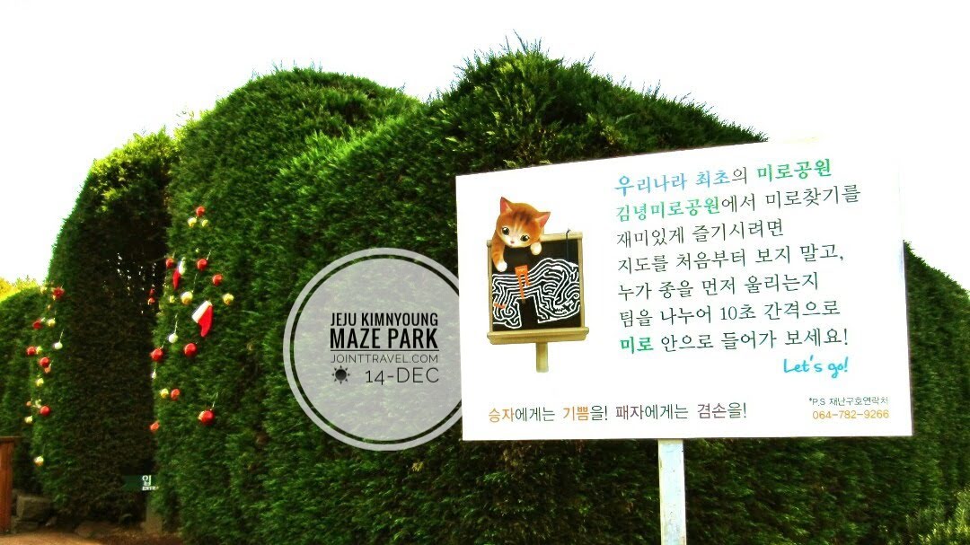 อุทยานเขาวงกตคิมนยองเชจู (Gimnyeong Jeju Maze Park)
