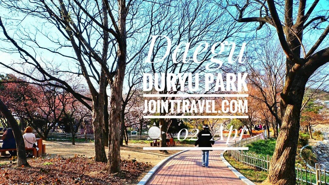 Daegu Duryu Park (대구두류공원)