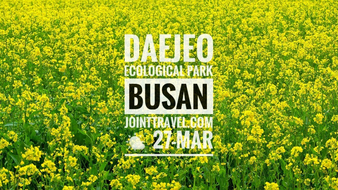สวนนิเวศวิทยาแทจอ (Daejeo Ecological Park, Busan)