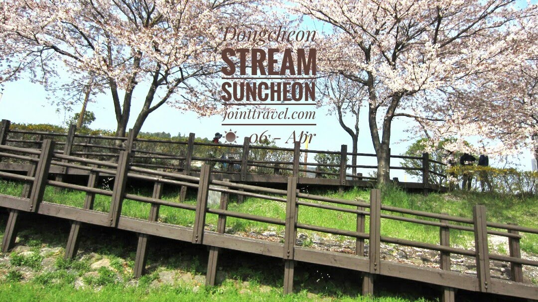 ลำธารทงชอน (Dongcheon Stream, Suncheon)
