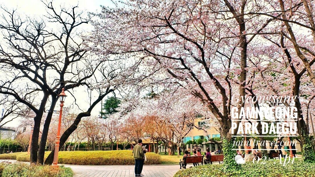 Gyeongsang Gamnyeong Park (경상감영공원)