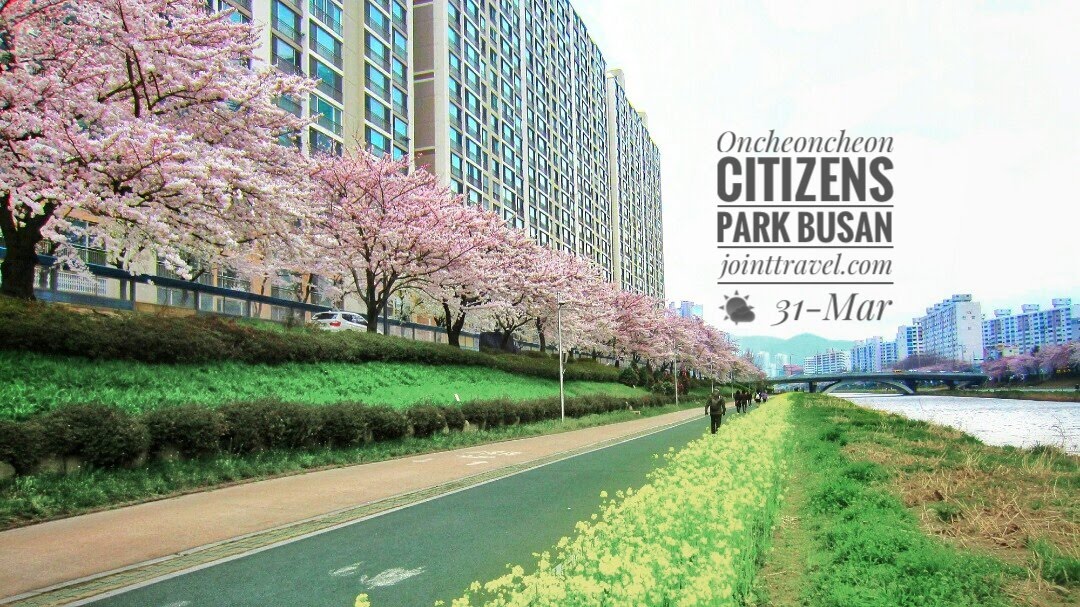 สวนสาธารณะอนชอนชอน (Oncheoncheon Citizens Park, Busan)