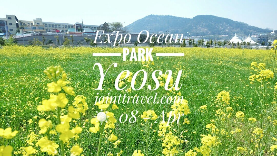 Expo Ocean Park (엑스포해양공원)