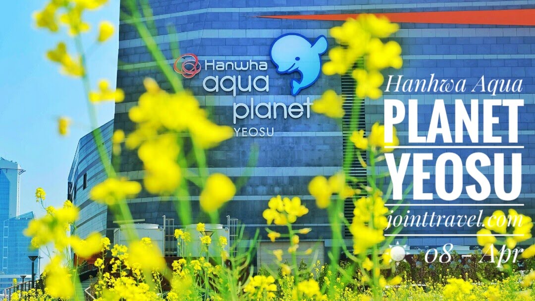 พิพิธภัณฑ์สัตว์ทะเลยอซูอควาแพลนเน็ต (Aqua Planet Yeosu)