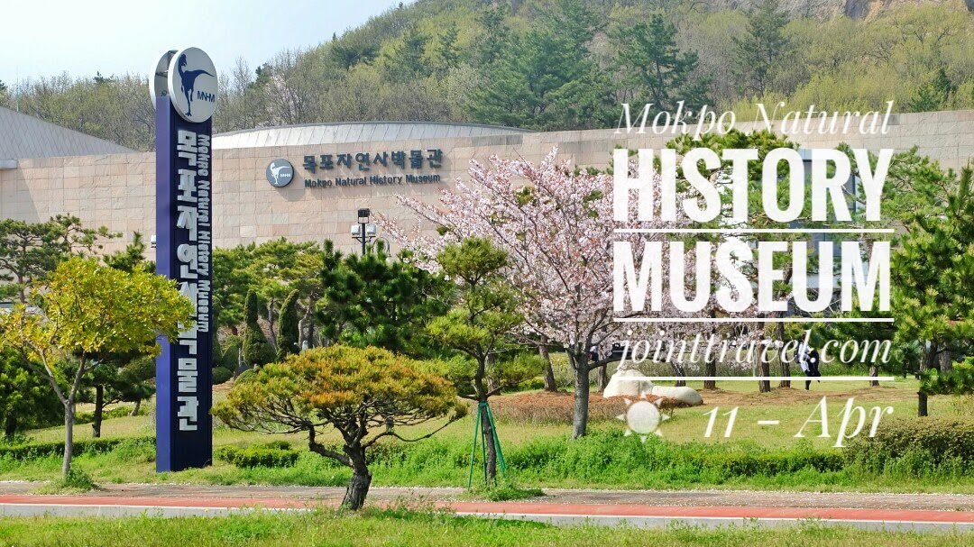 พิพิธภัณฑ์ประวัติศาสตร์ธรรมชาติมกโพ (Mokpo Natural History Museum)
