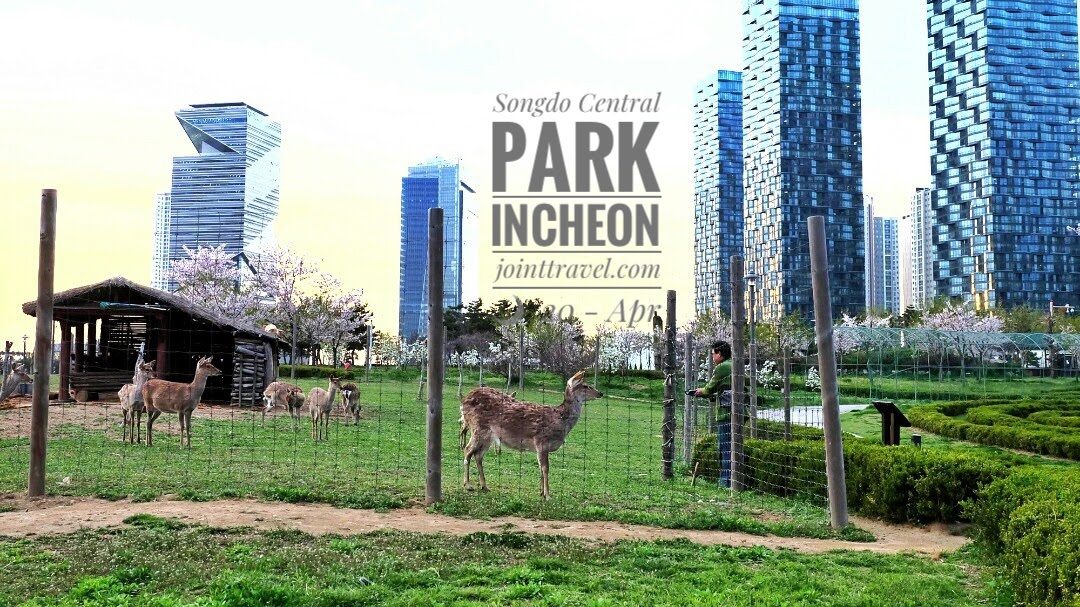 Songdo Central Park (송도 센트럴파크)