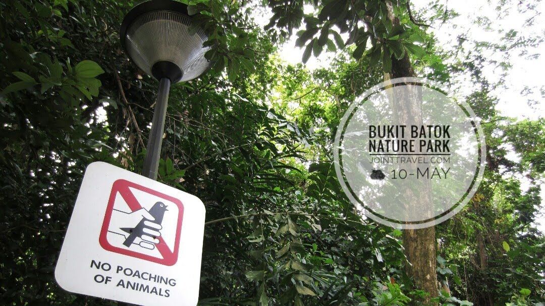 อุทยานธรรมชาติบูกิต บาตก (Bukit Batok Nature Park)