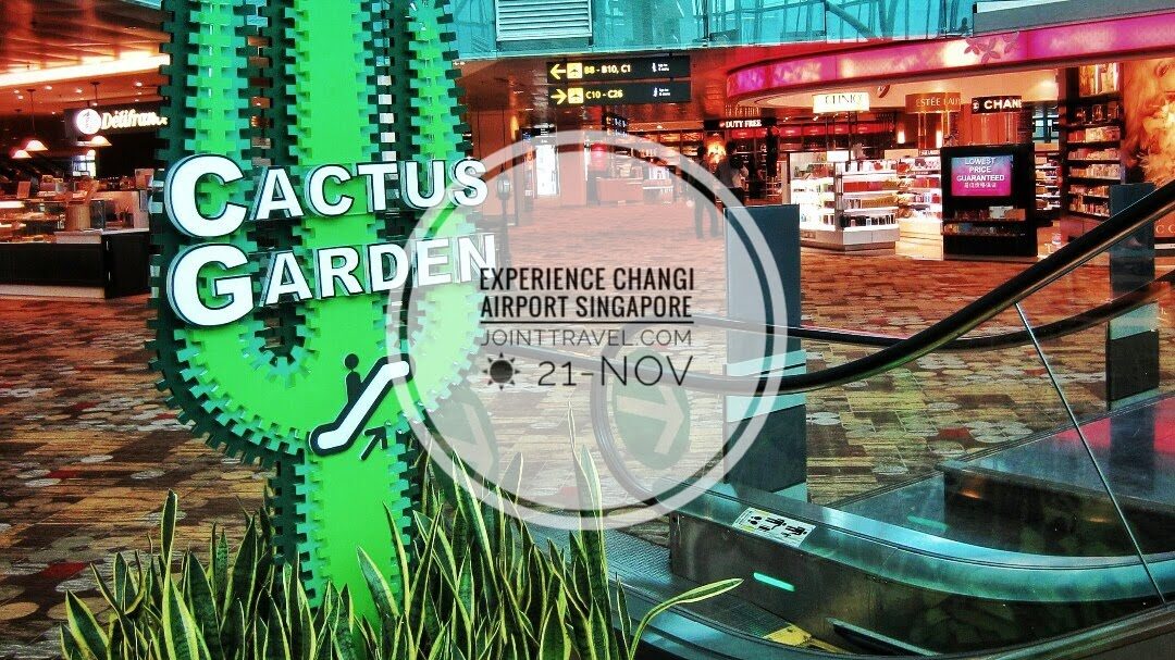 Changi Airport Experience