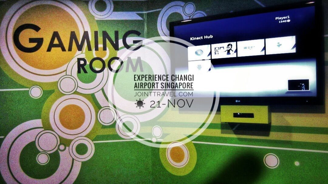 Changi Airport Experience