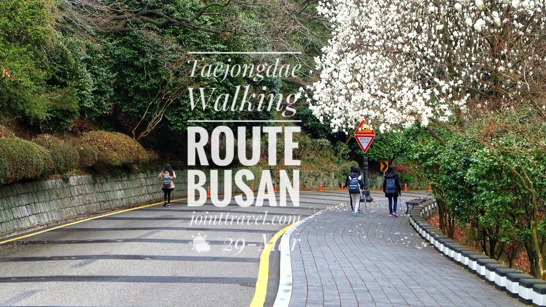 เส้นทางเดินเที่ยวอุทยานแทจงแด (Taejongdae Park Walking Route)