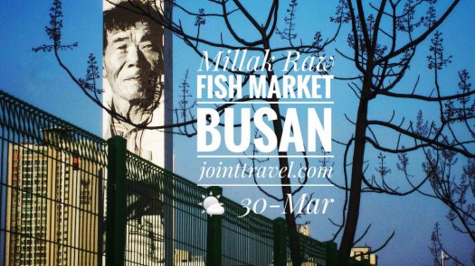 Millak Raw Fish Market