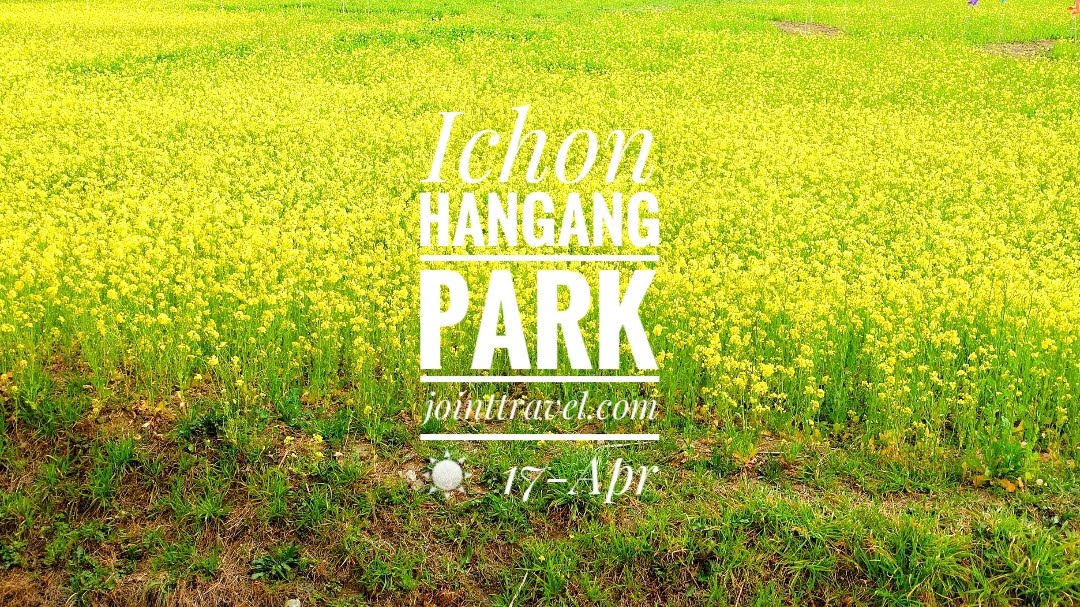 สวนสาธารณะอีชนฮันกัง (Ichon Hangang Park)