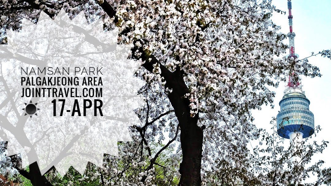 อุทยานนัมซานพาร์ค พื้นที่พัลกักจอง (Namsan Park – Palgakjeong Area – N Seoul Tower)