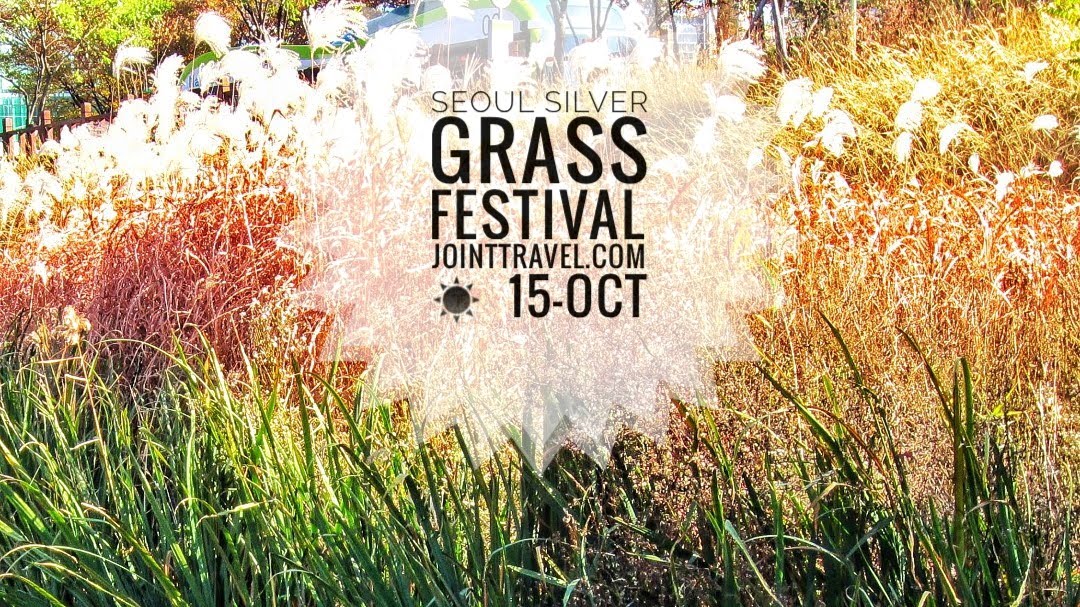 เทศกาลทุ่งหญ้าสีเงินโซล (Seoul Silver Grass Festival)
