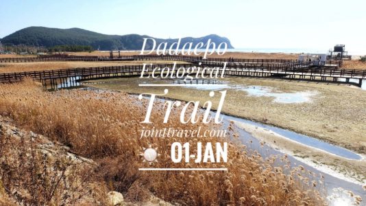 Dadaepo Ecological Trail