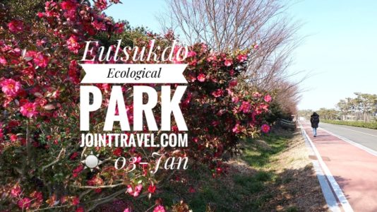 Eulsukdo Ecological Park