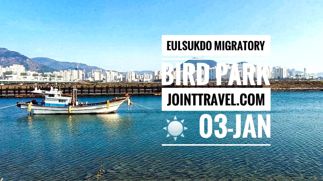 สวนนกอพยพอึลซุกโด (Eulsukdo Migratory Bird Park)