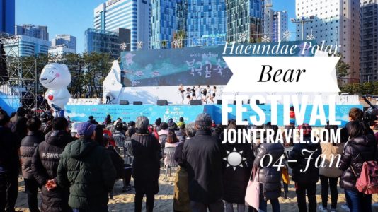 Haeundae Polar Bear Festival