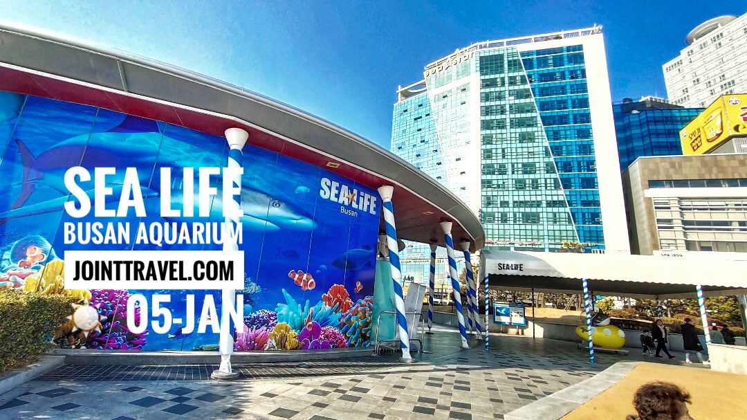 พิพิธภัณท์สัตว์น้ำ ซีไลฟ์ ปูซาน (SEA LIFE Busan Aquarium)