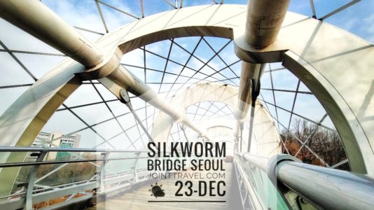 Silkworm Bridge