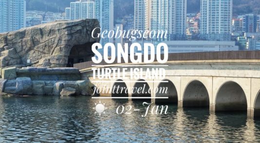 Songdo Turtle Island