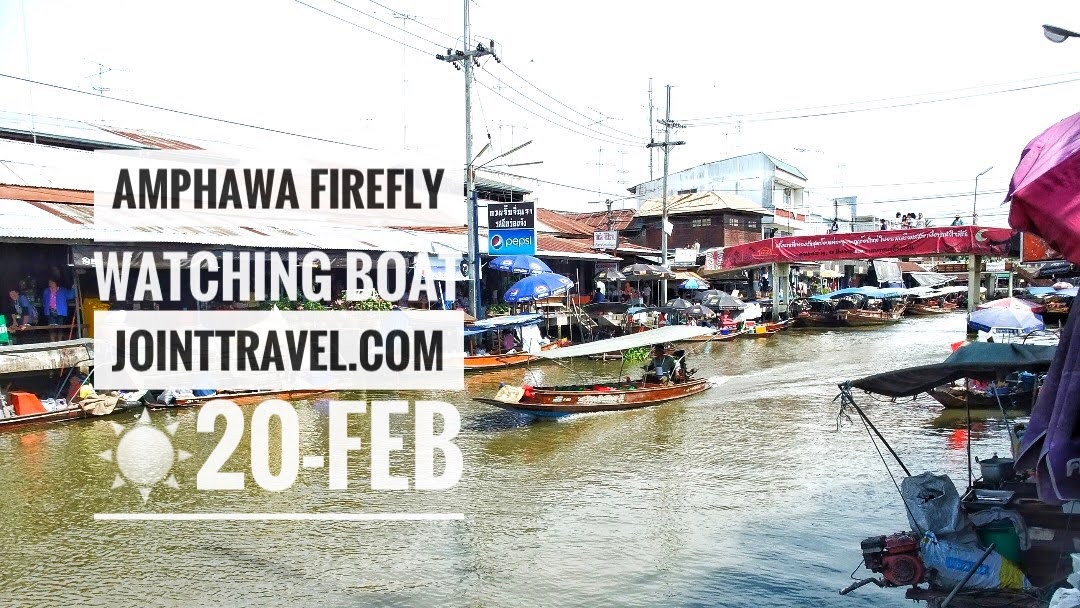 ล่องเรือชมหิ่งห้อยอัมพวา (Amphawa Firefly Watching Boat)